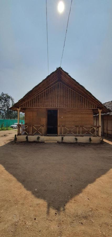 Guest house Lazy Panda Hampi