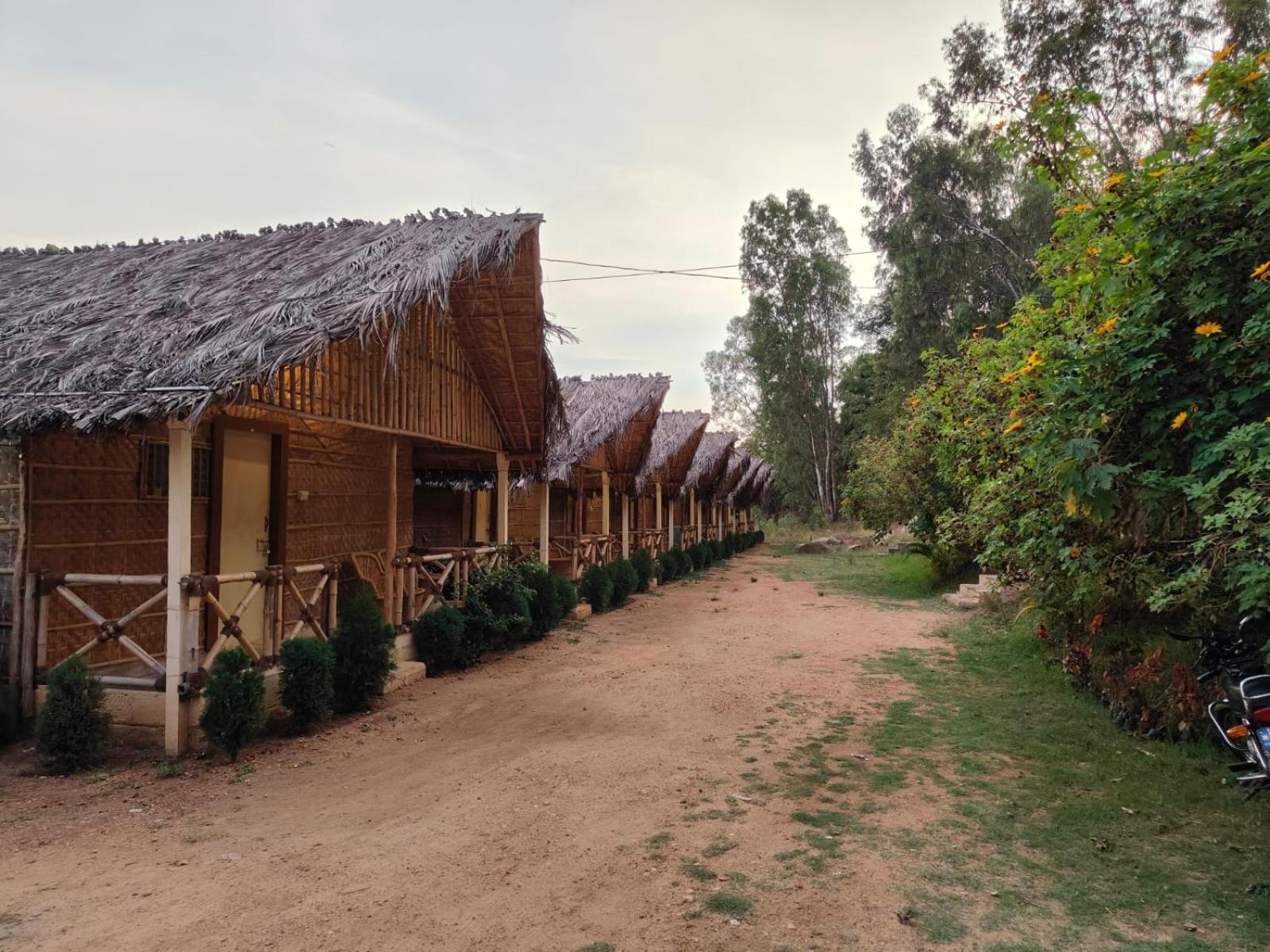 Lazy Panda Guest house *